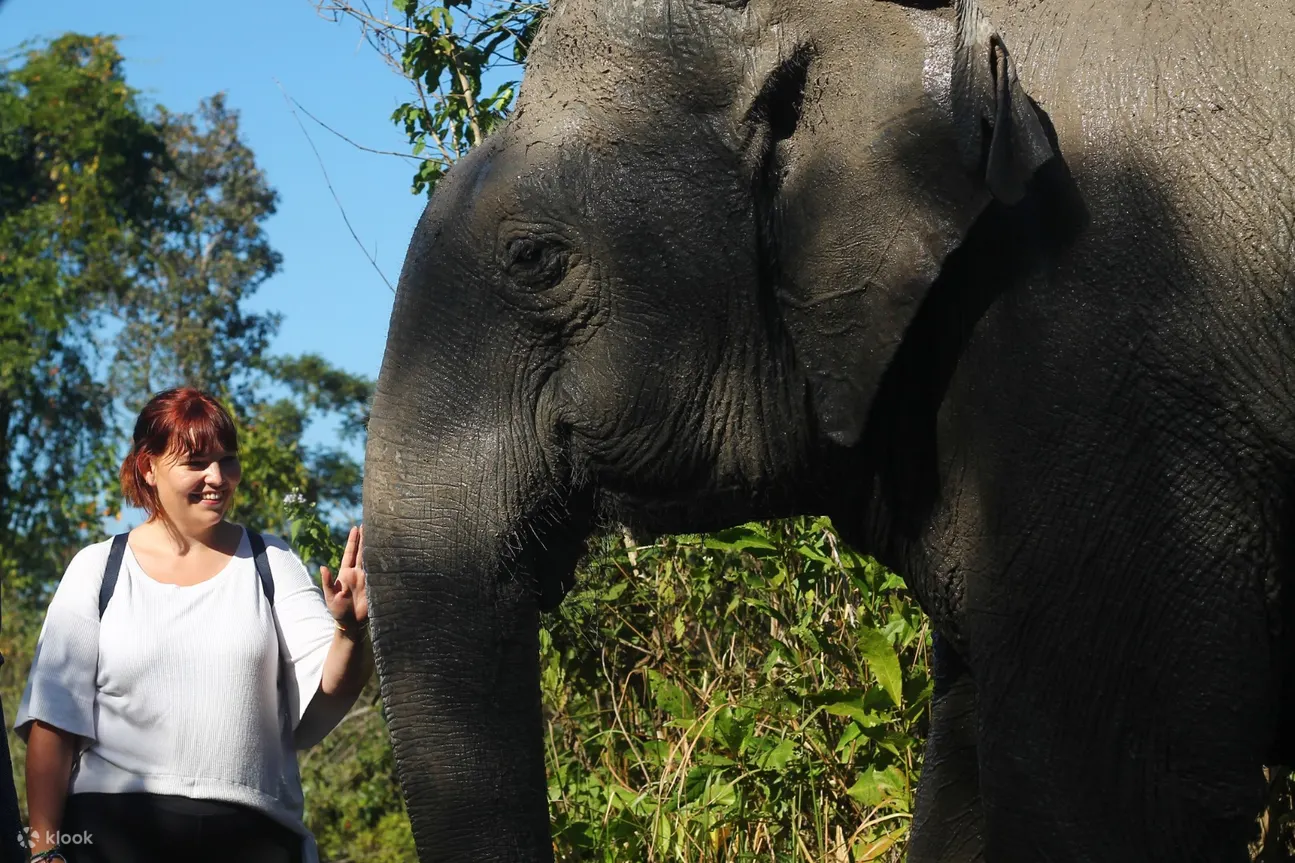 angkor zipline gold tour